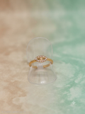 Collection Harmonie 💍